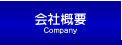 ЊTv