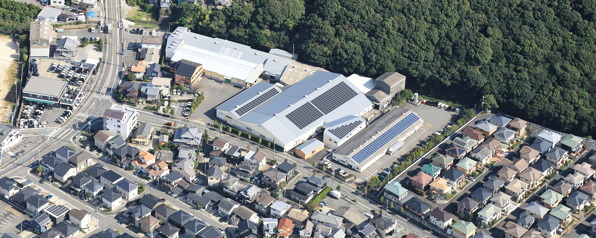 ROFILE― 会社概要 ―